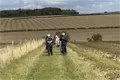 North Dalton Walk