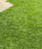 Lawn in good condition